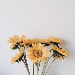 ❤️Meet your Posher❤️